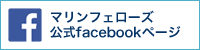 }tF[Y facebooky[W